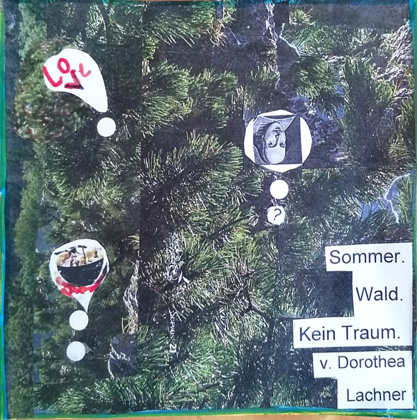 Hörspiel Sommer.Wald.Kein Traum. - Dorothea Lachner